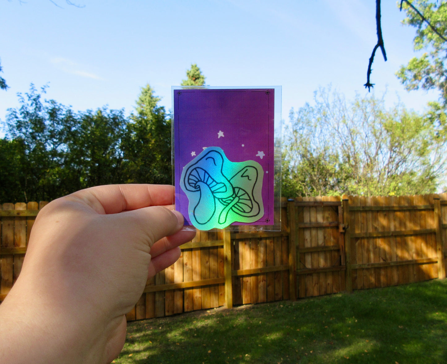 "Funky Mushrooms" Sketchbook Holographic Sticker